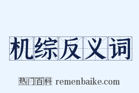 机综反义词是什么意思的图片